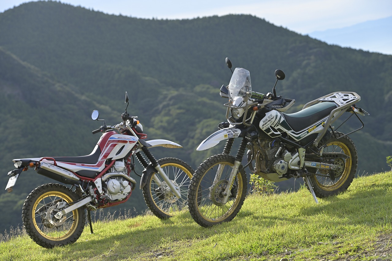 ドクターフィッシュ?