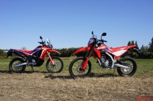 12月17日　木曜日発売！