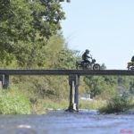 カブ購入（誇大表現）