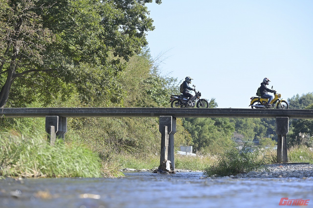 カブ購入（誇大表現）
