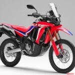 最新号は2月4日発売です！