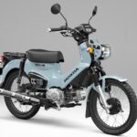 限りなく正解に近いブルー