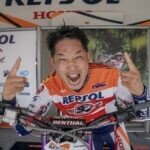 41歳の春は……