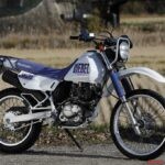 走り継ぐべき絶版オフロードマシン95 SUZUKI DJEBEL200