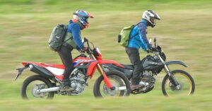 芝・犬ラリーツーリングB面