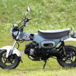 猟犬あらわる!?